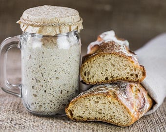 Sourdough Starters