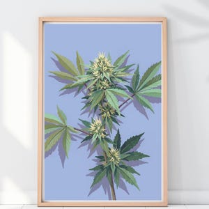 Puede incluir: Impresión enmarcada de una planta de cannabis con hojas verdes y flores blancas sobre un fondo azul claro. La obra de arte se presenta en un marco de madera natural, adecuada para la decoración de paredes.