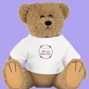 Will You Marry Me Custom Teddy Bear, Marriage Proposal Idea, Wedding Proposal, Keepsake Proposal Decor, Customize Plush, Pop the Question