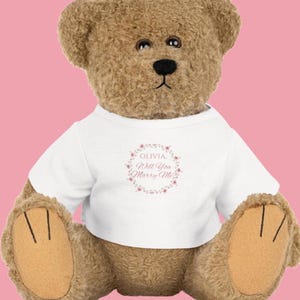 Will You Marry Me Custom Teddy Bear, Marriage Proposal Idea, Wedding Proposal, Keepsake Proposal Decor, Customize Plush, Pop the Question