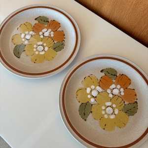 Vintage 1970&#39;s International Statastone Sonia made in Japan dinner plates. Set of two.