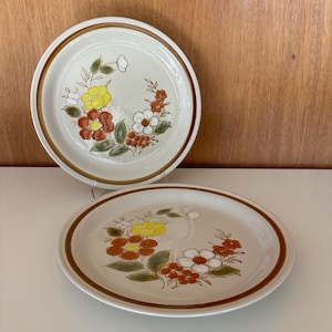 Mountain Wood Stoneware Trellis Blossom dinner plates. Set of two.
