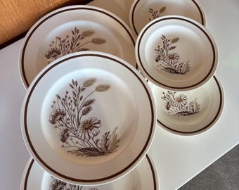 Vintage 1970&#39;s Royal China Co. American Autumn Mist salad and dinner dishes. Sold individually.