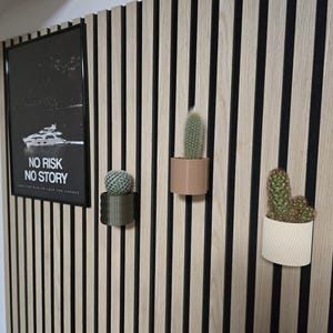 Può includere: Un'esposizione a parete con tre piccoli cactus in vasi decorativi. I vasi sono in tonalità marroni e bianche, montati su un pannello di legno con strisce verticali nere. È presente anche una stampa in bianco e nero incorniciata con il testo "NO RISK NO STORY".