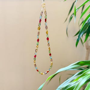 May include: A colorful beaded necklace with a gold clasp and chain. The necklace features a variety of oval-shaped beads in shades of red, blue, green, yellow, and purple. The necklace is hanging in front of a neutral background with green plants.