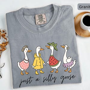 Camiseta engraçada do ganso bobo, camiseta com estética retrô, camiseta da moda do ganso, camiseta para amantes do ganso, presentes sarcásticos do ganso, presente fofo do ganso, camiseta Cottage