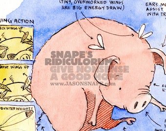 Pig Aviation Comparative Flight Postures – 8x10 Misinformational Watercolor Print
