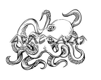 May include: A black and white line drawing of an octopus with eight tentacles. The octopus is drawn in a realistic style with detailed features.