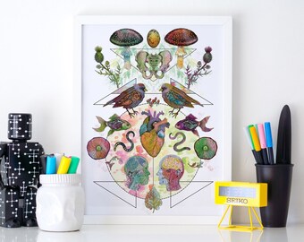 Limited Edition 'Meet My Maker #2' Fine Art Print - A3 29.7 x 42cm - Nature Flora Fauna Artwork Vintage Colourful Illustration Drawing