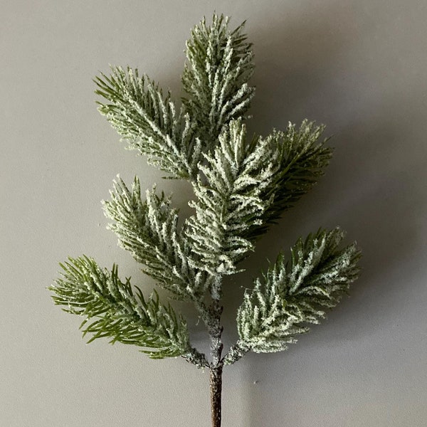 Snowy Spruce Foliage Stem