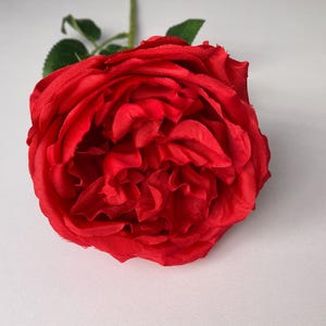 May include: A single, large, red rose with a ruffled, layered texture. The rose is in full bloom and has a green stem.