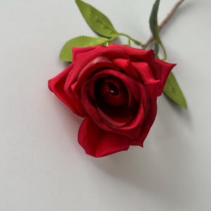 May include: A deep red rose in full bloom, with a detailed, velvety texture. The flower is accompanied by green leaves and a brown stem. The rose is a classic symbol of love and beauty. The image is set against a plain white background.