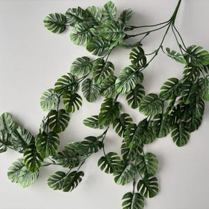 May include: Artificial Monstera plant stem with multiple green leaves. The leaves have a split pattern and are a vibrant green colour. The stem is a dark green colour and is on a white background.