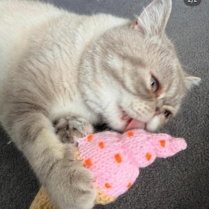 Ice Cream Cat Toy