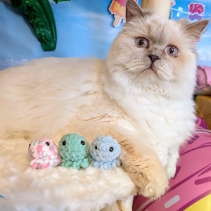 Dinky octopus cat toy