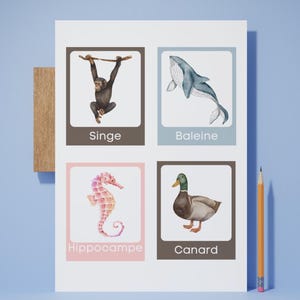 Cartes d'animaux de type flashcard
