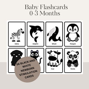 Może przedstawiać: Zestaw ośmiu czarno-białych kart dla niemowląt z ilustracjami zwierząt, w tym zebrą, delfinem, wielorybem, pingwinem, psem, kotem, krową i pandą. Karty przeznaczone są do stymulacji noworodków i oznaczone jako "Baby Flashcards 0-3 Months".
