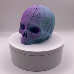 May include: A decorative skull sculpture with a gradient color scheme of purple and blue. The skull is segmented with vertical lines, giving it a unique, layered appearance. It is displayed on a white, circular pedestal.