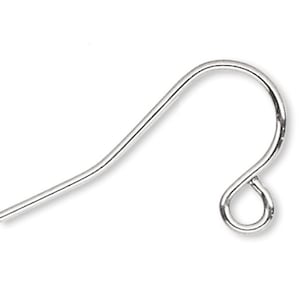 May include: Silver earring hook with a small loop at the end.