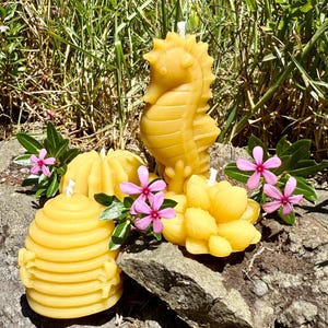 Organic Hawaiian Beeswax Candles. Beautiful Long Burning Hand Made Candles image 12