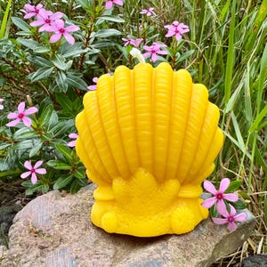 Organic Hawaiian Beeswax Candles. Beautiful Long Burning Hand Made Candles Big Sea Shell