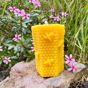 Organic Hawaiian Beeswax Candles. Beautiful Long Burning Hand Made Candles Hexagon Beehive