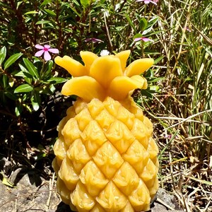 Organic Hawaiian Beeswax Candles. Beautiful Long Burning Hand Made Candles Pineapple