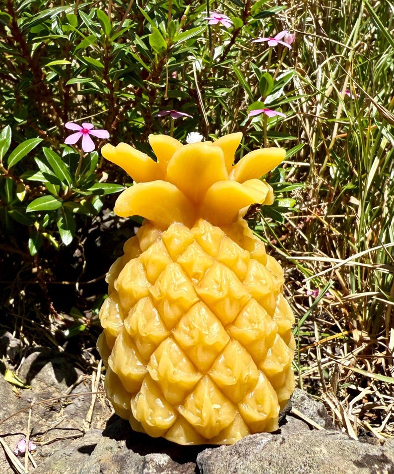 Organic Hawaiian Beeswax Candles. Beautiful Long Burning Hand Made Candles Pineapple
