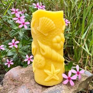 Organic Hawaiian Beeswax Candles. Beautiful Long Burning Hand Made Candles Sea Shell Pillar