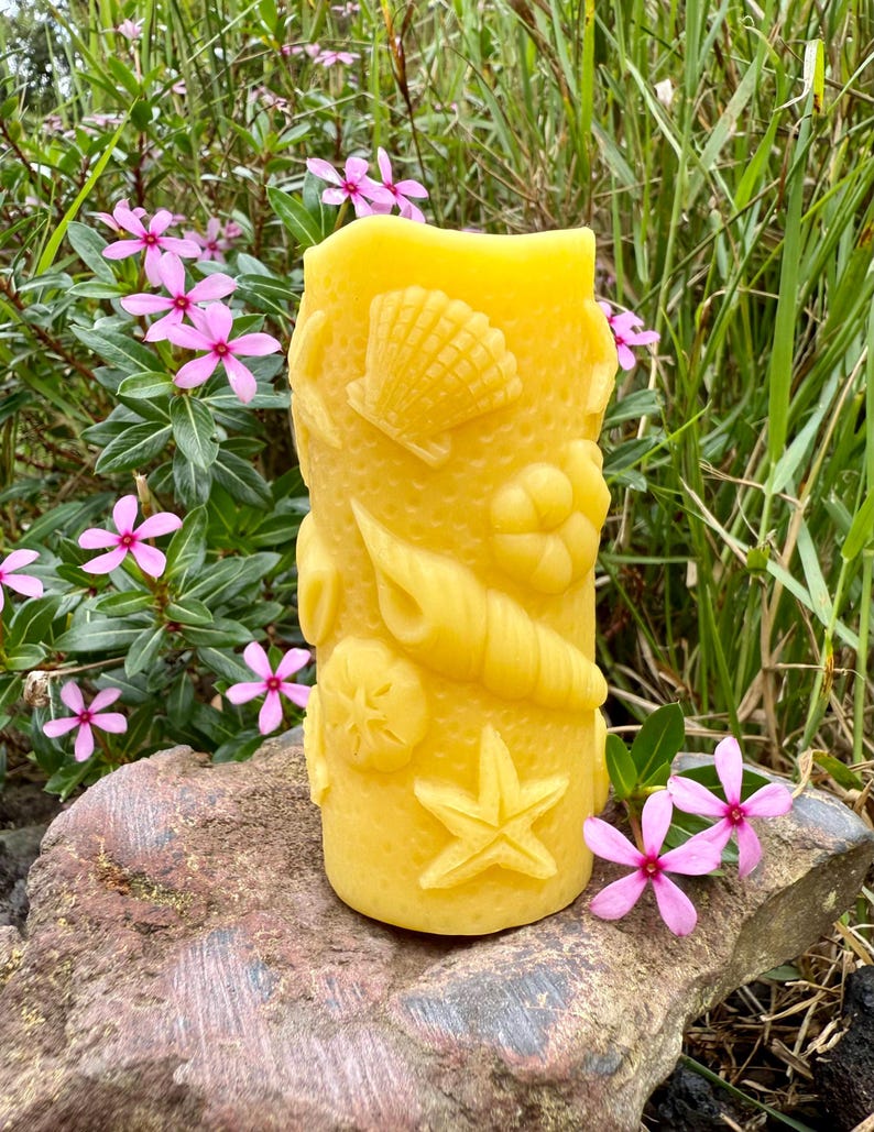 Organic Hawaiian Beeswax Candles. Beautiful Long Burning Hand Made Candles Sea Shell Pillar