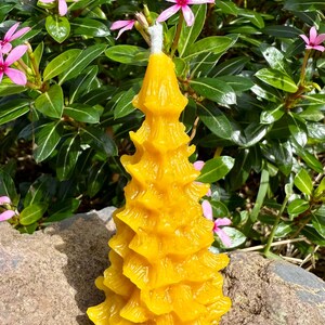 Organic Hawaiian Beeswax Candles. Beautiful Long Burning Hand Made Candles Pine tree