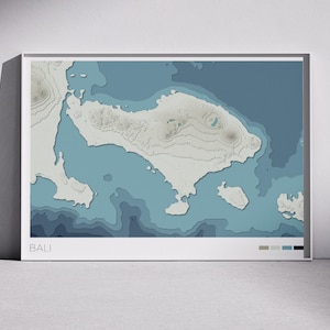 May include: A framed topographic map of Bali, Indonesia, in shades of blue and beige. The map shows the island's contours and surrounding waters. The word "BALI" is printed in white at the bottom of the frame.