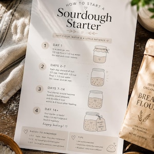 Könnte beinhalten: Eine weiße Anleitungskarte mit dem Titel How to Start a Sourdough Starter, schwarzem Text und Strichzeichnungen von Gläsern. Sie beschreibt einen 14-tägigen Prozess mit Mehl und Wasser, inklusive Verhältnissen und Backtipps auf beigem Grund.