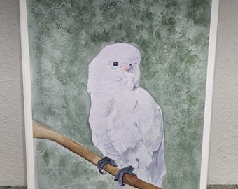 Goffins Cockatoo Art Print