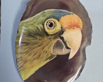 Peach Fronted Conure Agate Pin #1