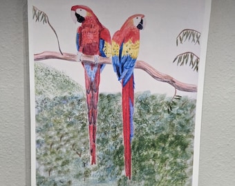 Scarlet Macaw Pair Art Print