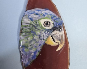 Maximillian Pionus Agate Pin