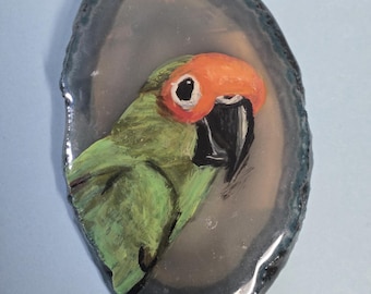Gold Capped Conure Agate Pin