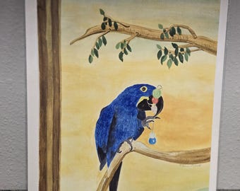 Hyacinth Macaw Art Print