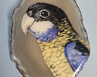 Turquoise Yellow-sided Mutation Color Greencheek Conure Agate Pin