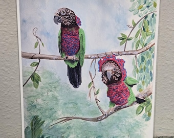 Hawkhead Parrot Pair Art Print