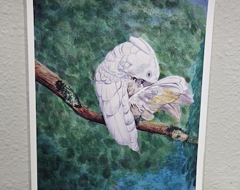 Umbrella Cockatoo Art Print