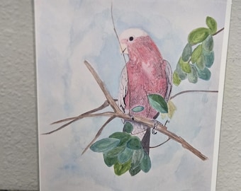 Galah Cockatoo Art Print