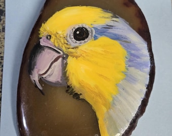 Yellow Faced Parrotlet Agate Pin #2