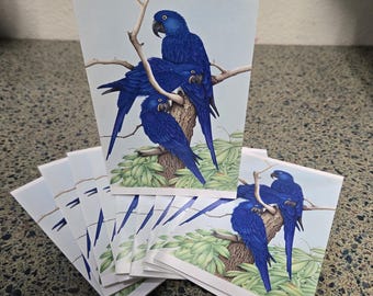 Hyacinth Macaw Trio Greeting Cards-Pack of 10