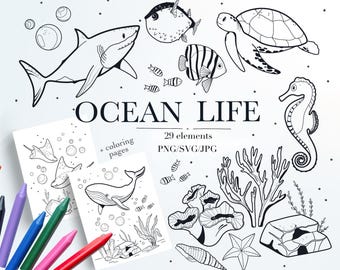 Ozeantiere SVG Bundle: Meeresleben Clipart PNG, zum Ausmalen, zum Ausdrucken (Digitaler Download)
