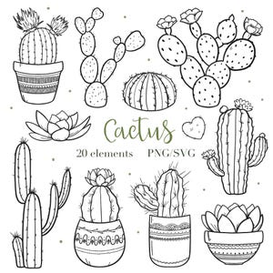 May include: Black and white line art illustrations of various cacti and succulents, including potted plants and individual plant elements. The word "Cactus" is written in a green script font, with the text "20 elements PNG/SVG" below.