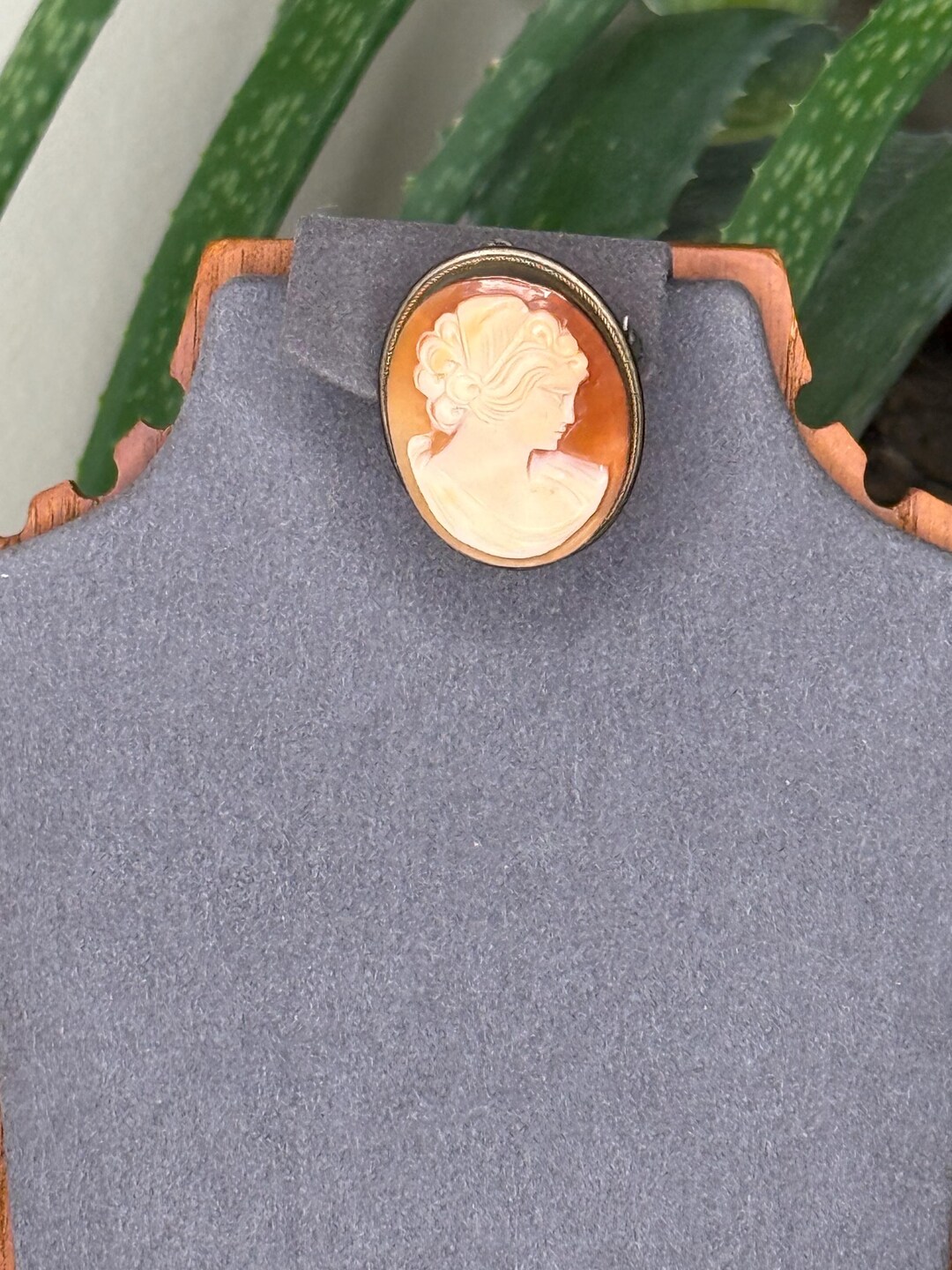 Vintage Hand Carved Shell Cameo Brooch Pendant, 800 Silver - Etsy