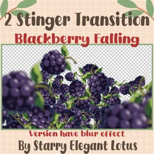 Transición de aguijón animado de Twitch con caída de mora, superposición de transmisión de moras, recurso de pantalla de fruta fresca acogedora OBS Streamlabs Vtuber...