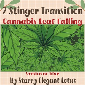 May include: An illustration featuring green cannabis leaves, with the text "2 Stinger Transition Cannabis Leaf Falling." The image includes the text "Version no blur" and "By Starry Elegant Lotus."